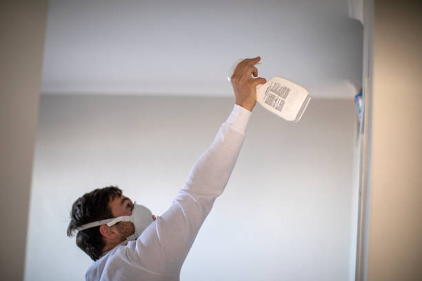 Best Same-Day Mold Removal  in White Plains, NY