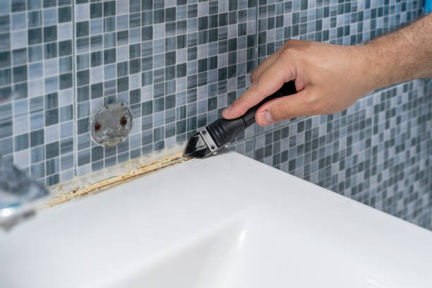 Best Mold Damage Repair  in White Plains, NY